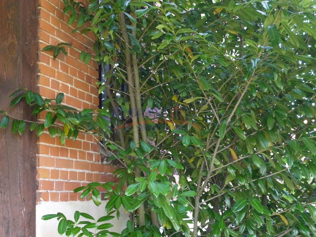 Do sprzedaży  3 budynki gospodarcze. (26)