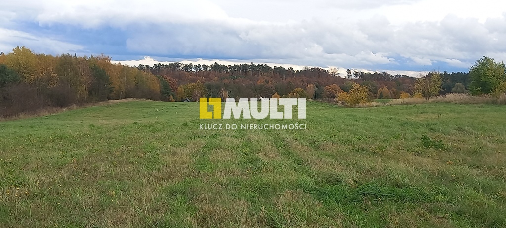 Steklno - działka budowlana z warunkami zabudowy (2)
