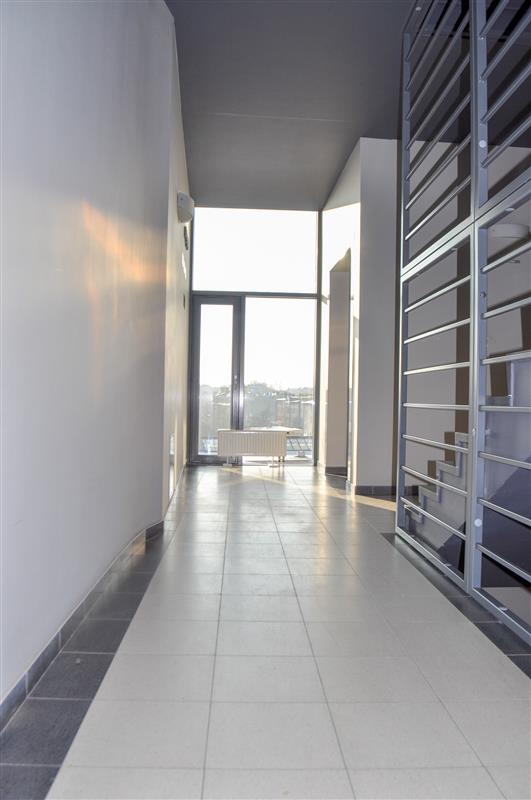 Lokal użytkowy - Koszalin  (5)