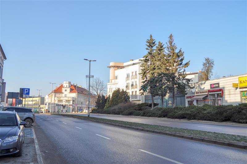 Lokal użytkowy - Koszalin  (8)