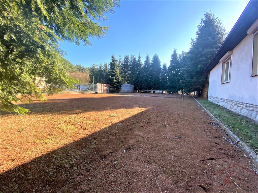 Wielgowo, Dom parterowy, duża działka (5)