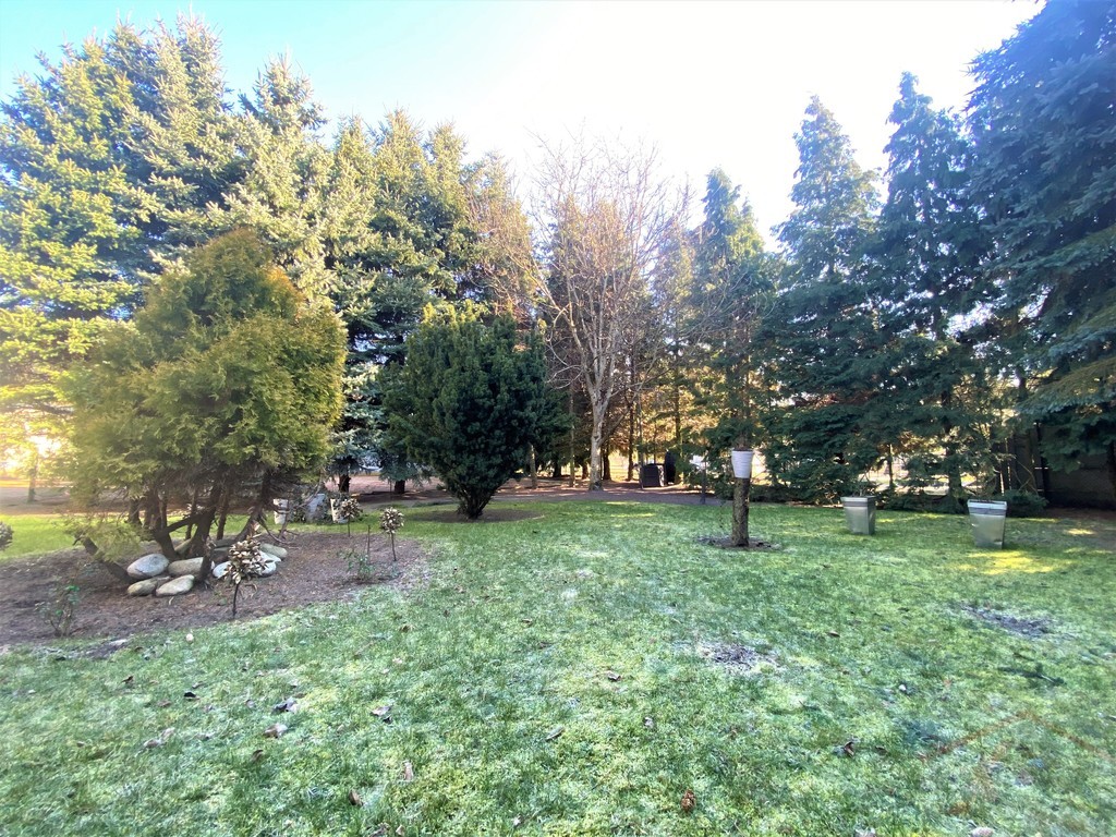 Wielgowo, Dom parterowy, duża działka (8)