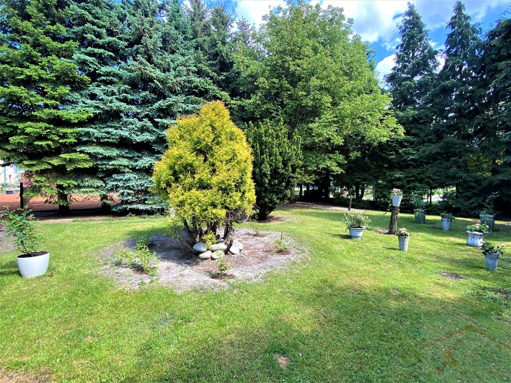 Wielgowo, Dom parterowy, duża działka (25)