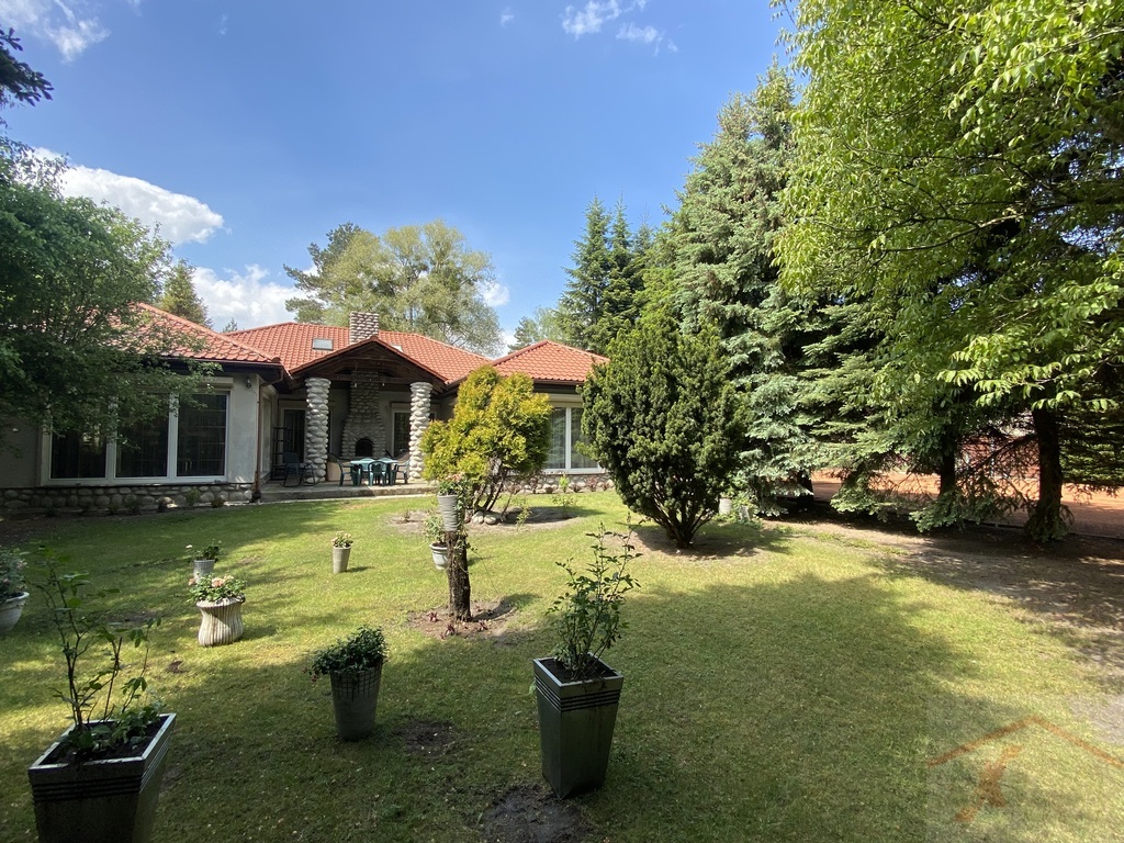 Wielgowo, Dom parterowy, duża działka (26)