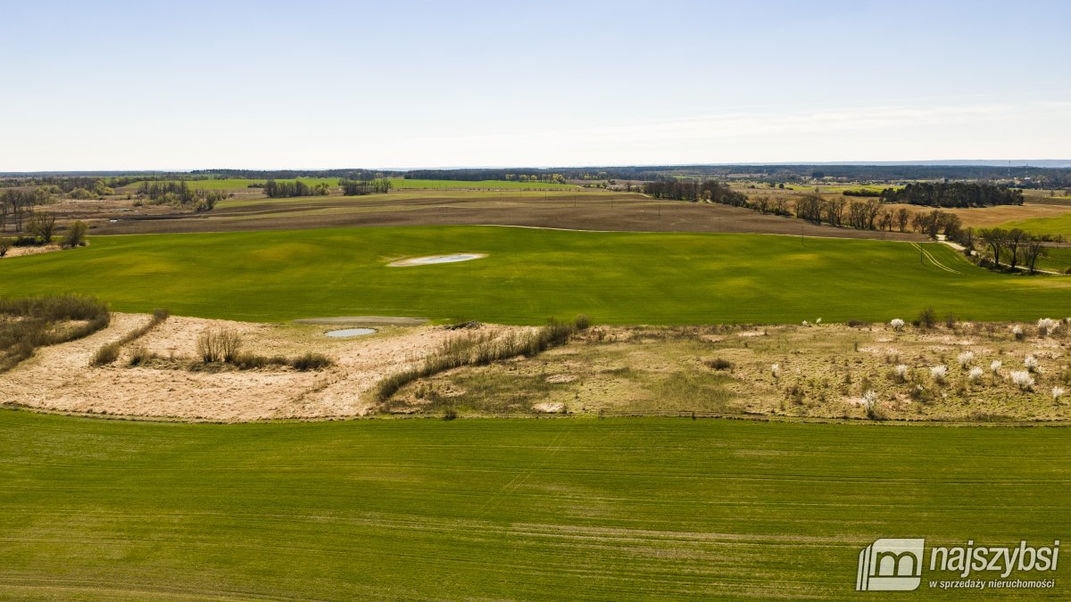 NIESUŁÓW-DZIAŁKA ROLNA 6,39 HA (12)