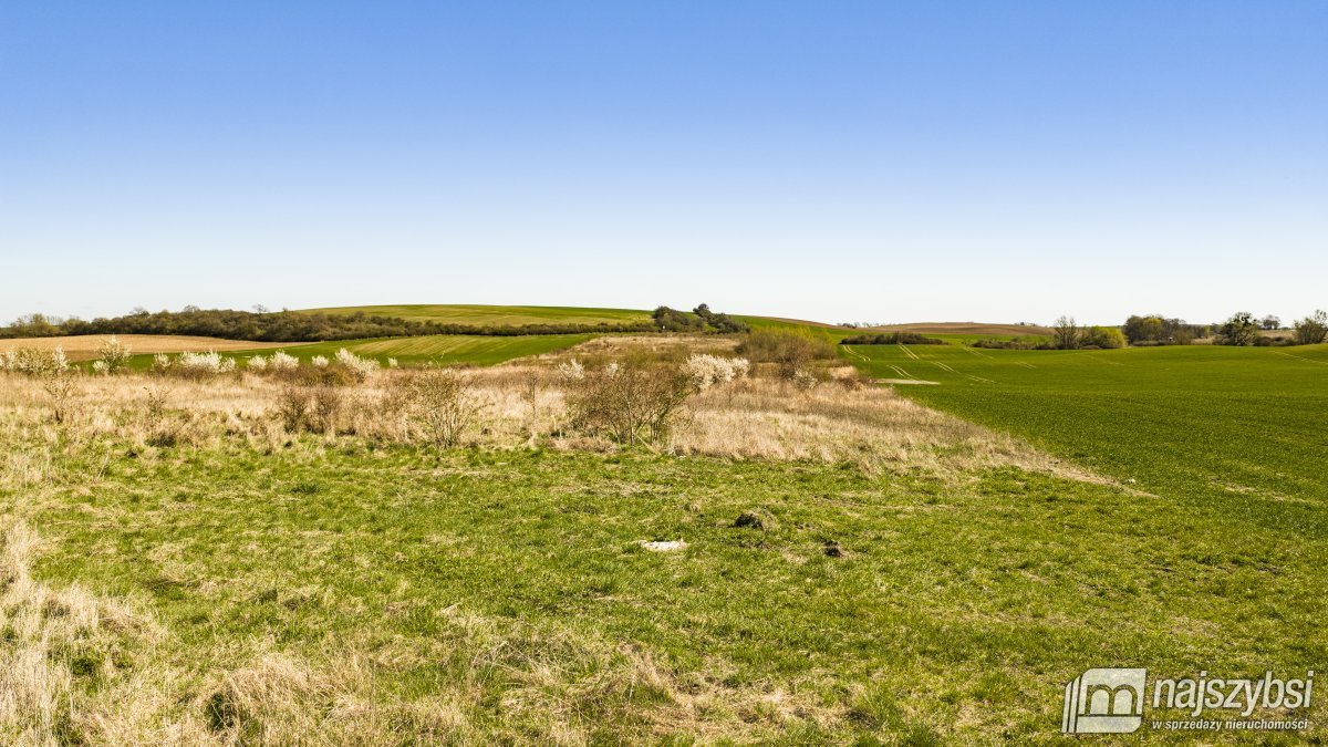 NIESUŁÓW-DZIAŁKA ROLNA 6,39 HA (3)