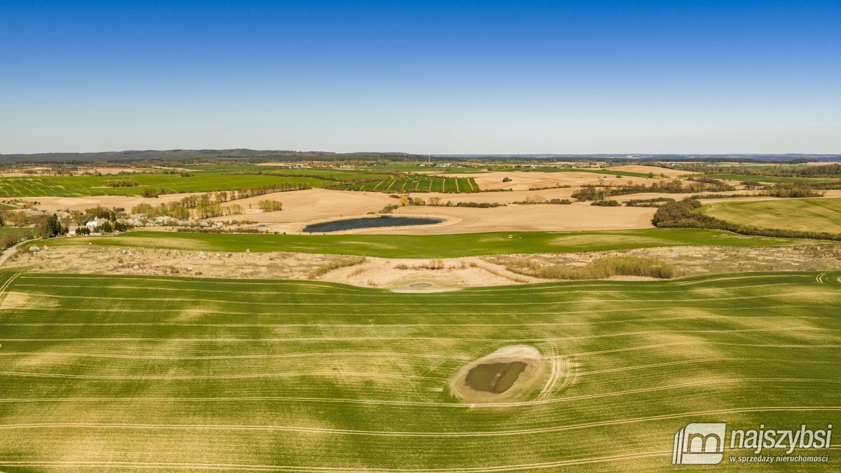 NIESUŁÓW-DZIAŁKA ROLNA 6,39 HA (7)