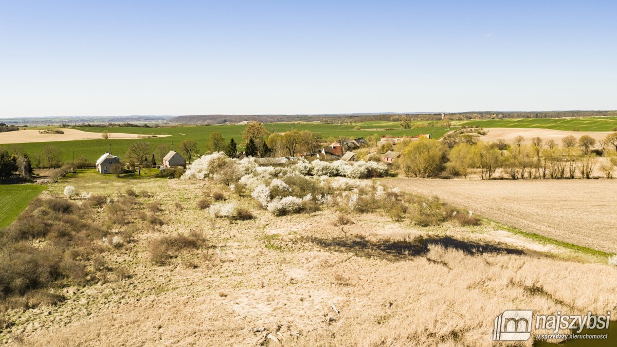 NIESUŁÓW-DOM DO ODBUDOWY Z DUŻĄ DZIAŁKĄ 1,35 HA (13)