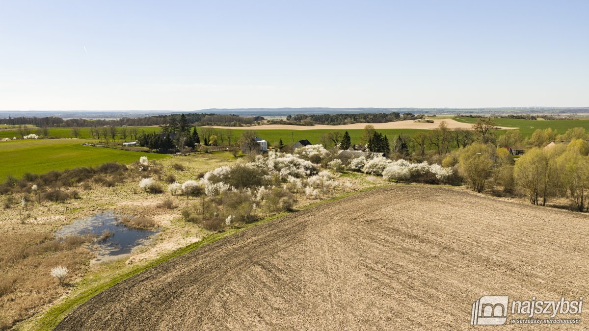 NIESUŁÓW-DOM DO ODBUDOWY Z DUŻĄ DZIAŁKĄ 1,35 HA (14)