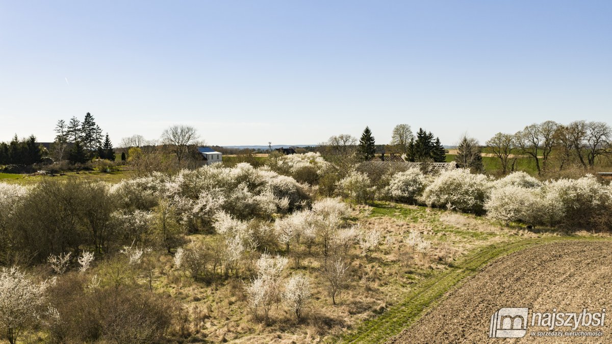NIESUŁÓW-DOM DO ODBUDOWY Z DUŻĄ DZIAŁKĄ 1,35 HA (15)