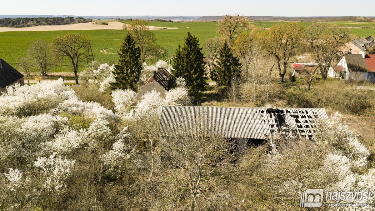 NIESUŁÓW-DOM DO ODBUDOWY Z DUŻĄ DZIAŁKĄ 1,35 HA (16)