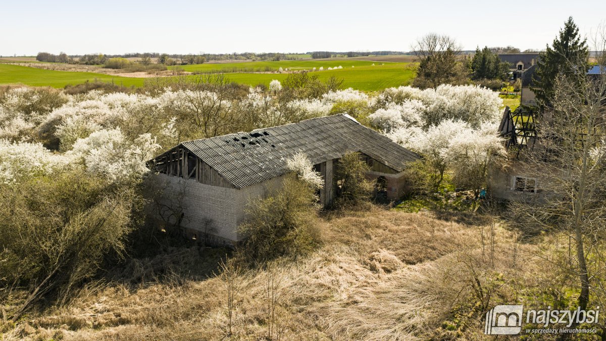 NIESUŁÓW-DOM DO ODBUDOWY Z DUŻĄ DZIAŁKĄ 1,35 HA (17)