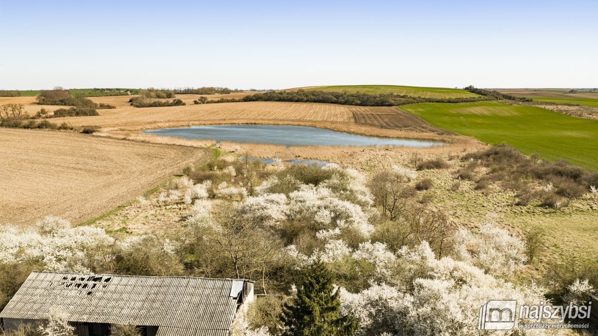 NIESUŁÓW-DOM DO ODBUDOWY Z DUŻĄ DZIAŁKĄ 1,35 HA (19)