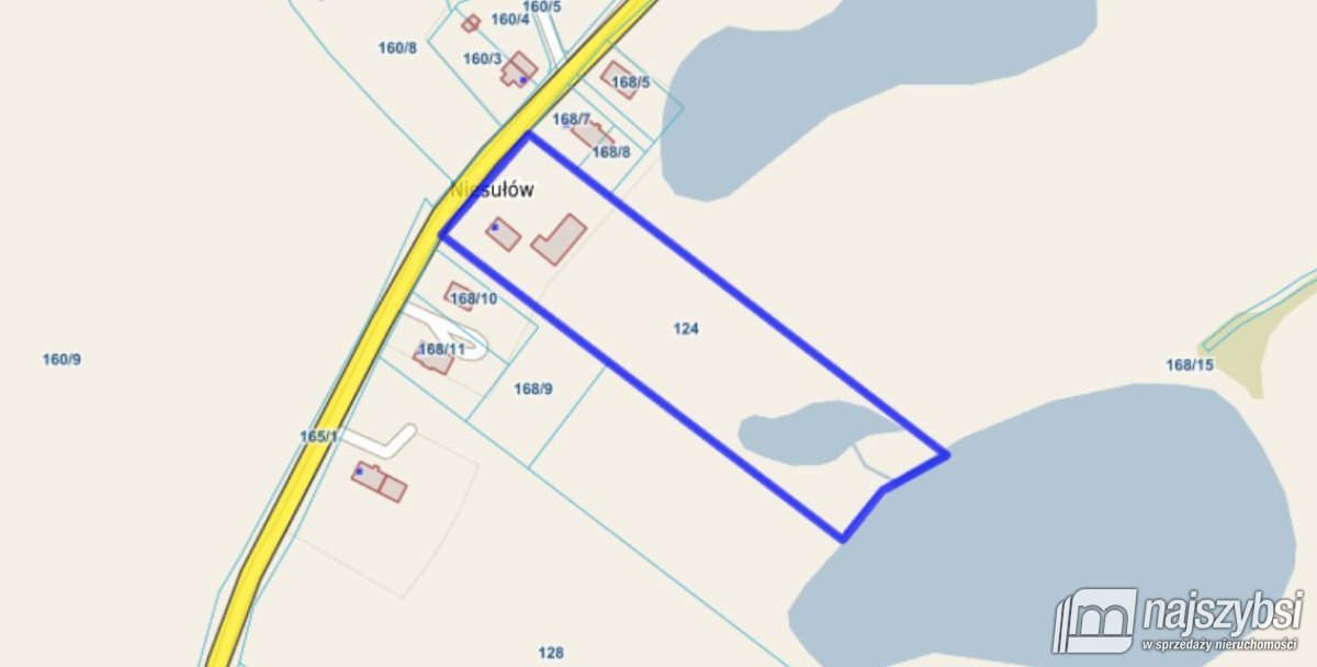 NIESUŁÓW-DOM DO ODBUDOWY Z DUŻĄ DZIAŁKĄ 1,35 HA (25)