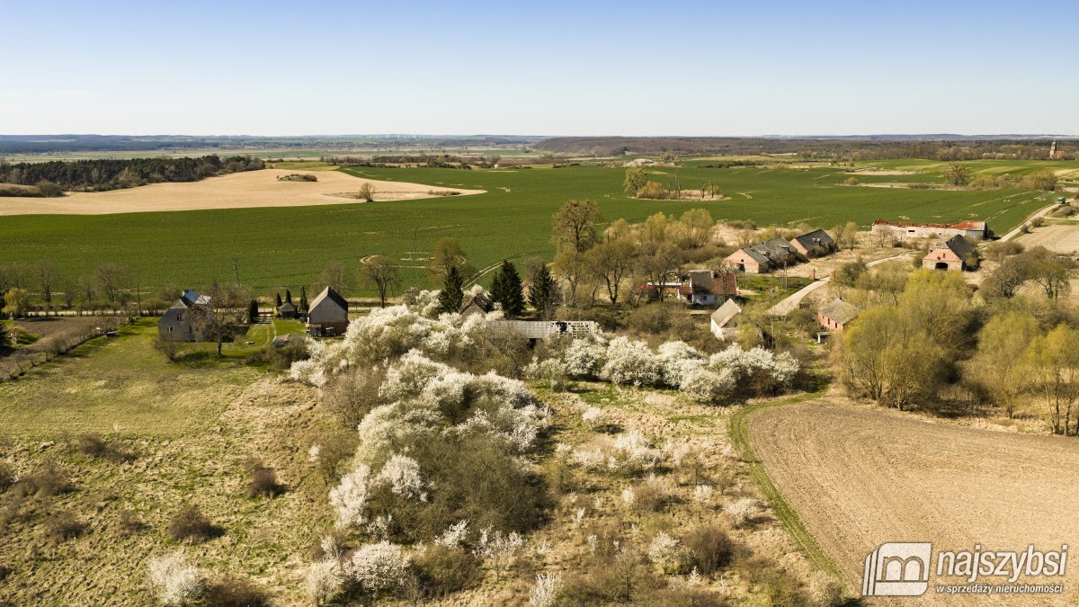 NIESUŁÓW-DOM DO ODBUDOWY Z DUŻĄ DZIAŁKĄ 1,35 HA (4)