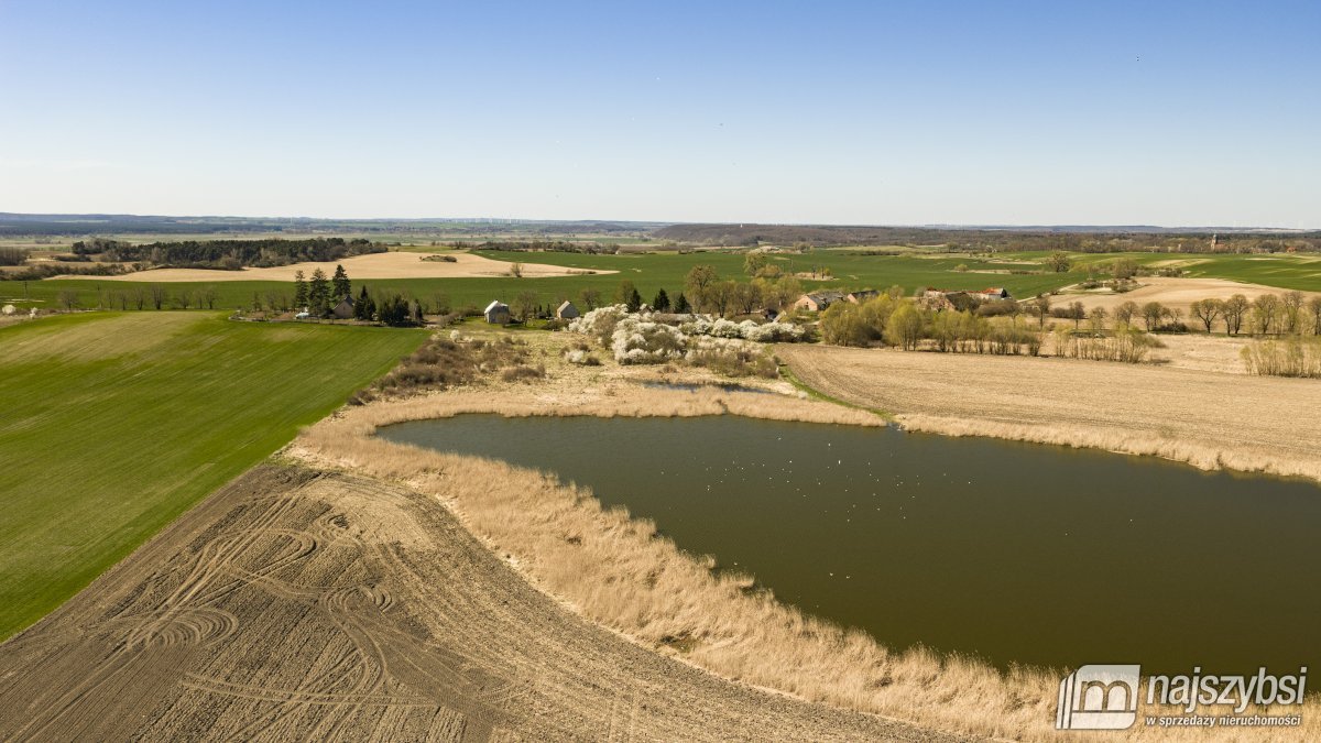 NIESUŁÓW-DOM DO ODBUDOWY Z DUŻĄ DZIAŁKĄ 1,35 HA (5)
