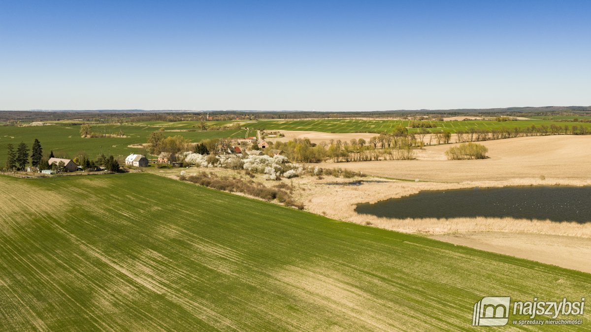 NIESUŁÓW-DOM DO ODBUDOWY Z DUŻĄ DZIAŁKĄ 1,35 HA (6)