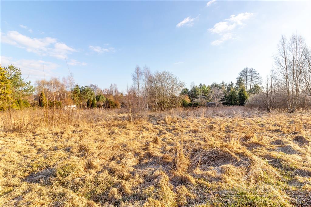 Działka w okolicy lasów i jezior ! (5)