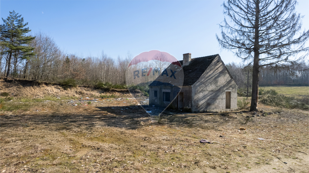 Działka bez sąsiadów z możliwością odbudowy domu (13)