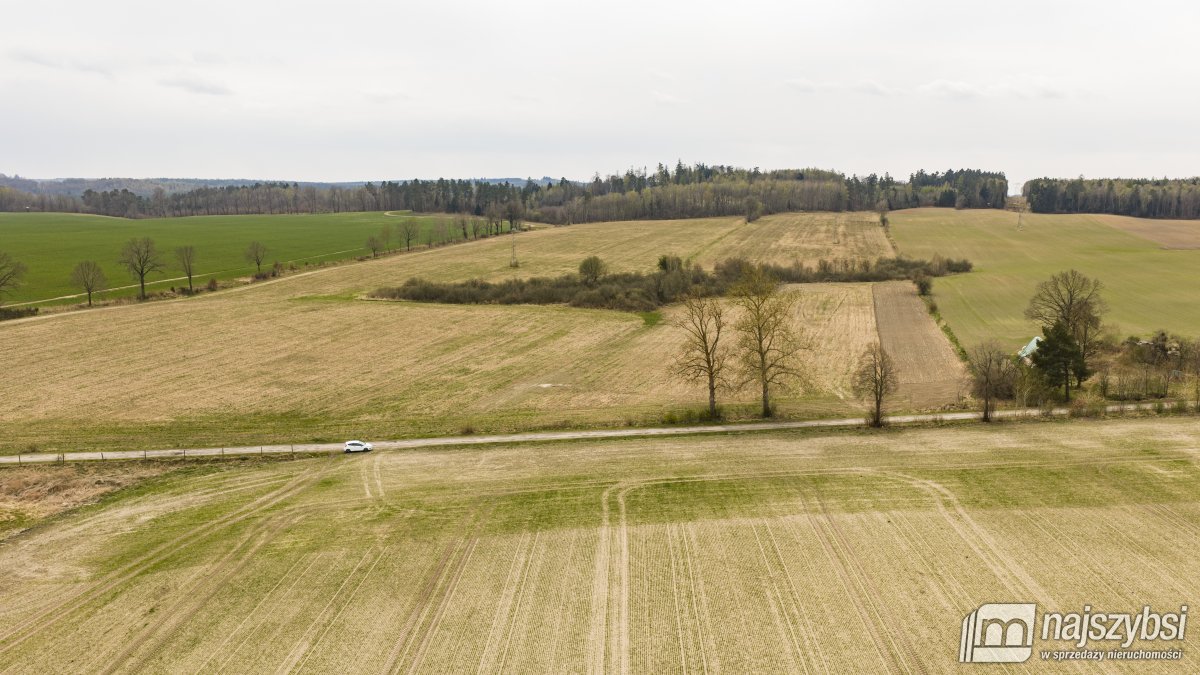 Rychówko - ziemia rolna 9ha (10)