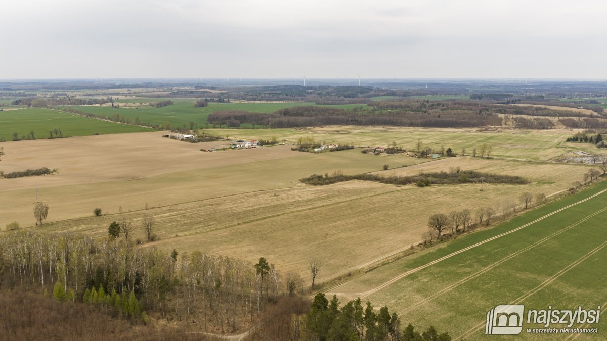 Rychówko - ziemia rolna 9ha (12)