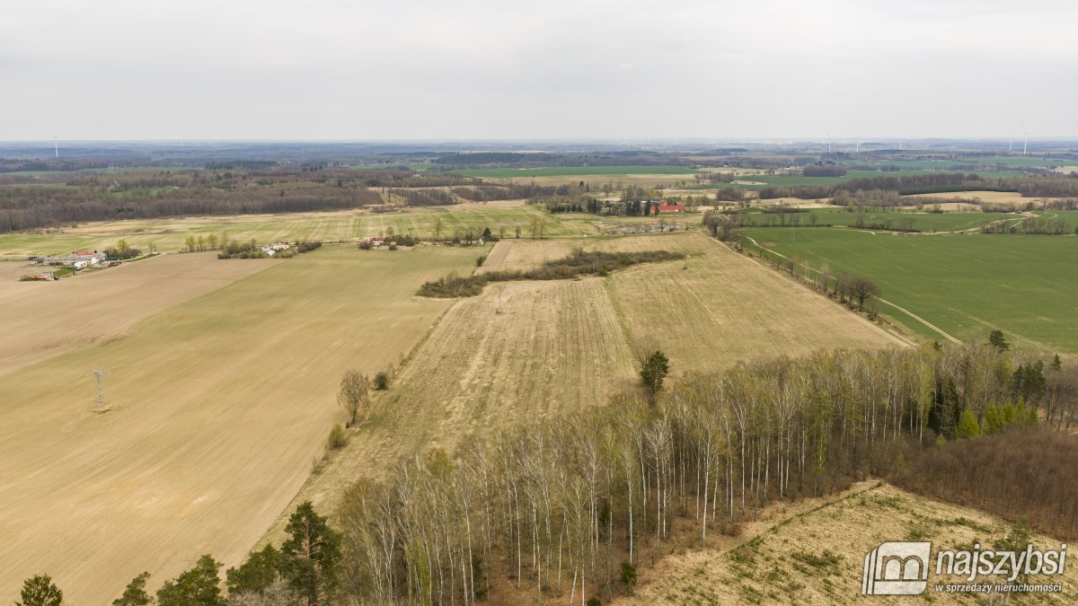 Rychówko - ziemia rolna 9ha (13)