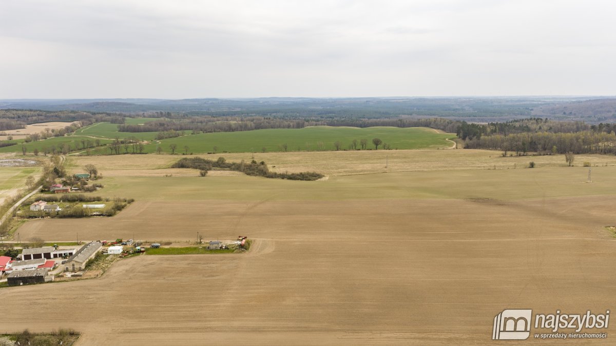 Rychówko - ziemia rolna 9ha (14)
