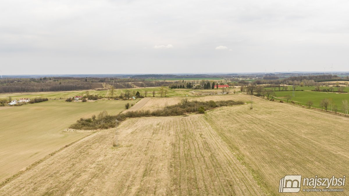 Rychówko - ziemia rolna 9ha (15)