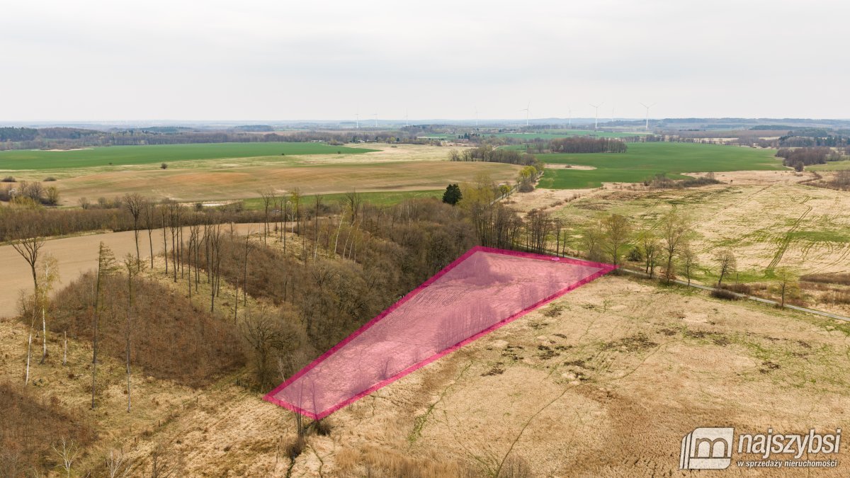 Rychówko - ziemia rolna 9ha (2)