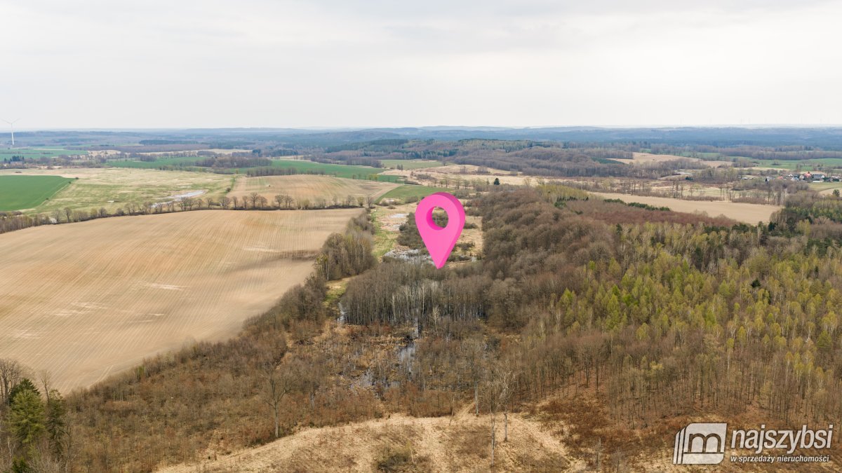 Rychówko - ziemia rolna 9ha (3)