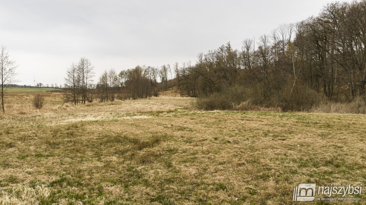 Rychówko - ziemia rolna 9ha (4)