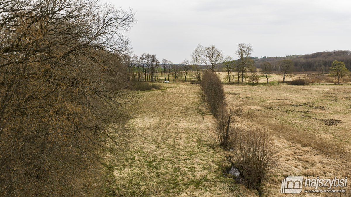 Rychówko - ziemia rolna 9ha (5)