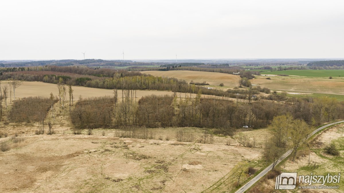 Rychówko - ziemia rolna 9ha (6)