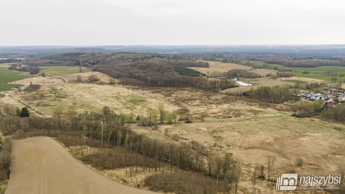 Rychówko - ziemia rolna 9ha (7)