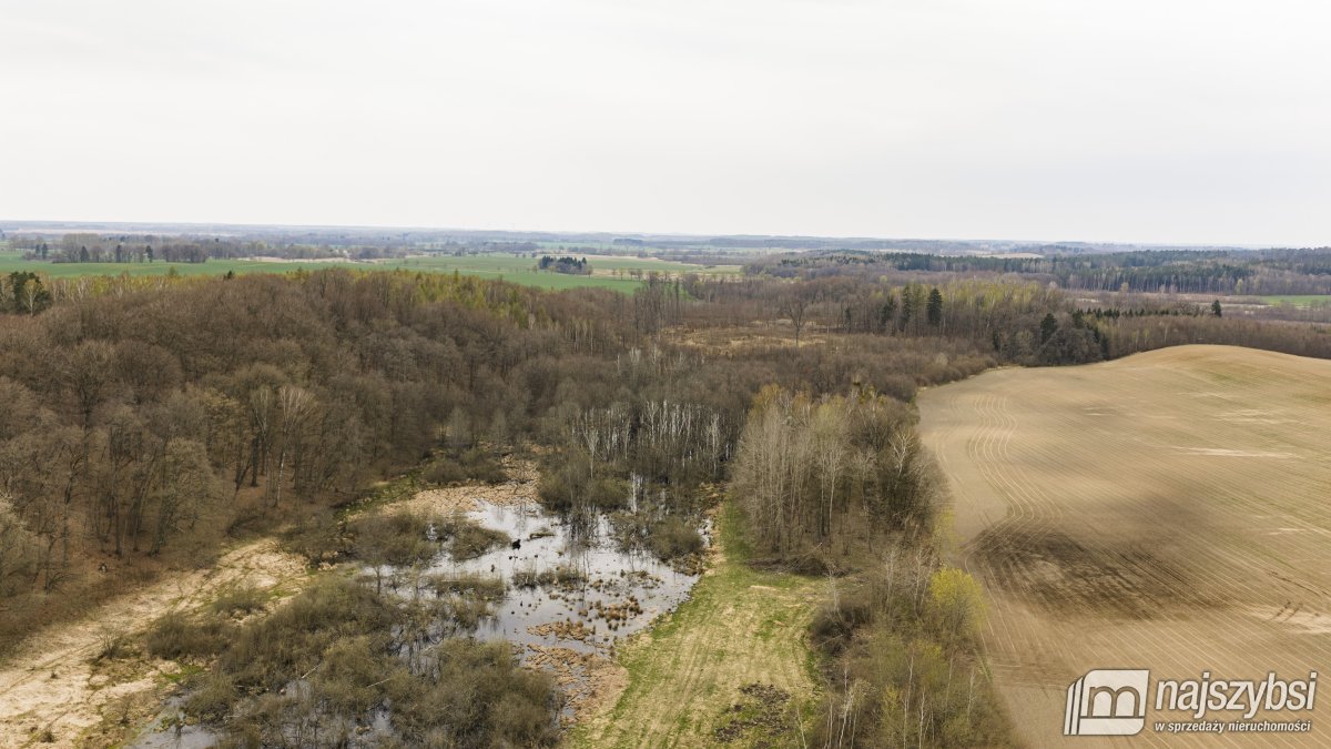 Rychówko - ziemia rolna 9ha (9)