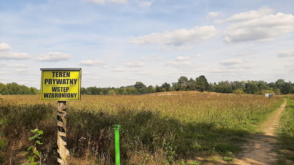 Ładna, niedroga działka nad jeziorem (3)