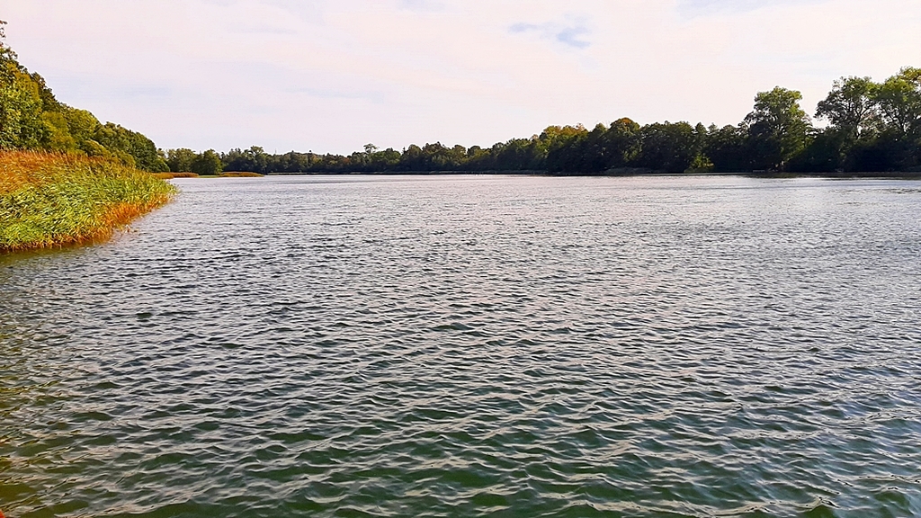 Ładna, niedroga działka nad jeziorem (4)