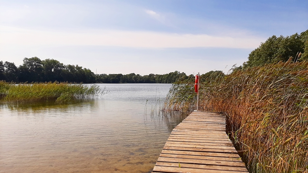 Ładna, niedroga działka nad jeziorem (6)