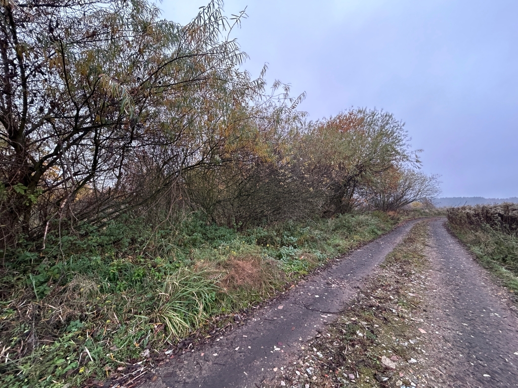 Działka komercyjna. Rewelacyjna lokalizacja! (2)