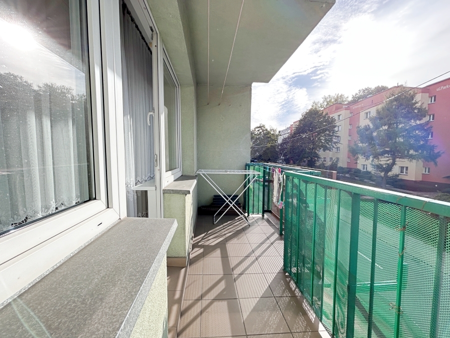 Do wynajęcia 2-pokojowe w centrum Szczecina (5)