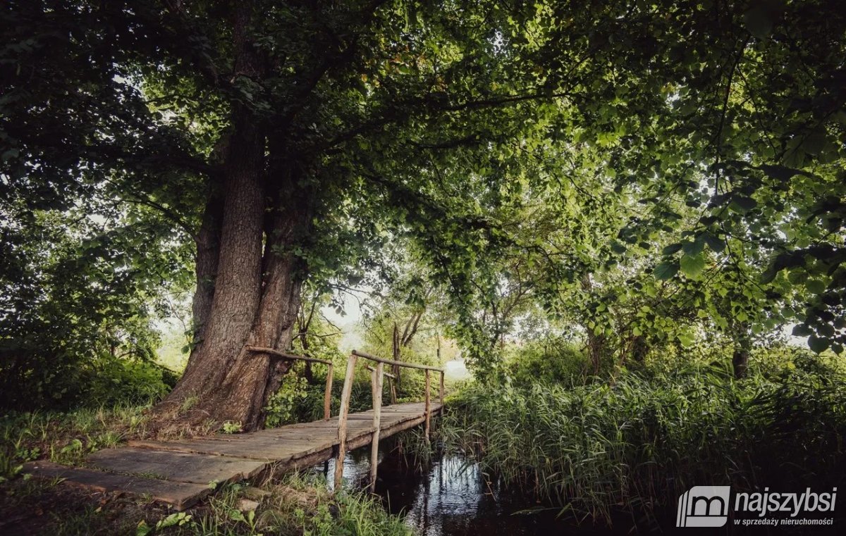 Rudnica - Działka przy rzece i lesie (14)