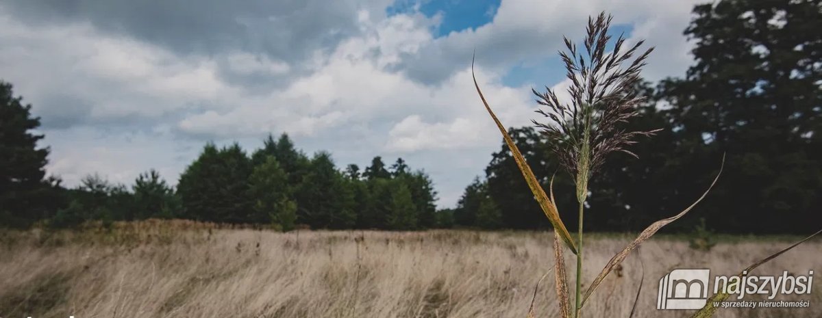 Rudnica - Działka przy rzece i lesie (15)