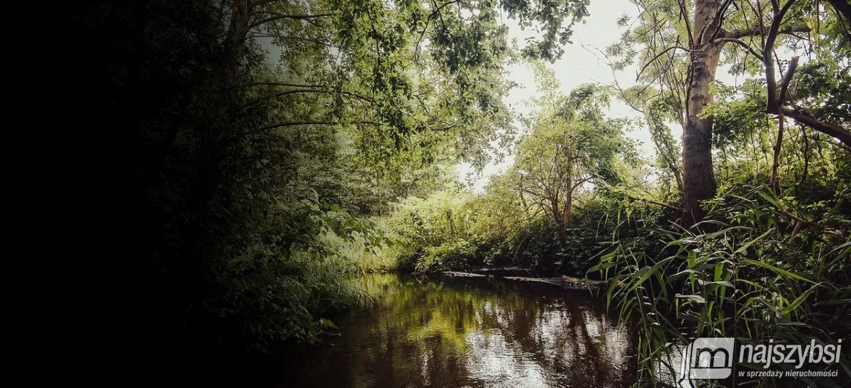 Rudnica - Działka przy rzece i lesie (16)