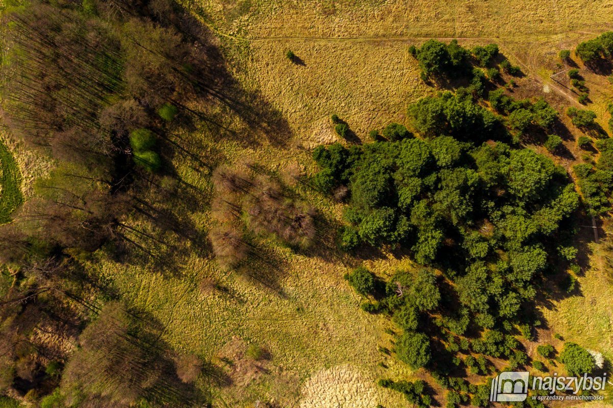 Rudnica - Działka przy rzece i lesie (5)