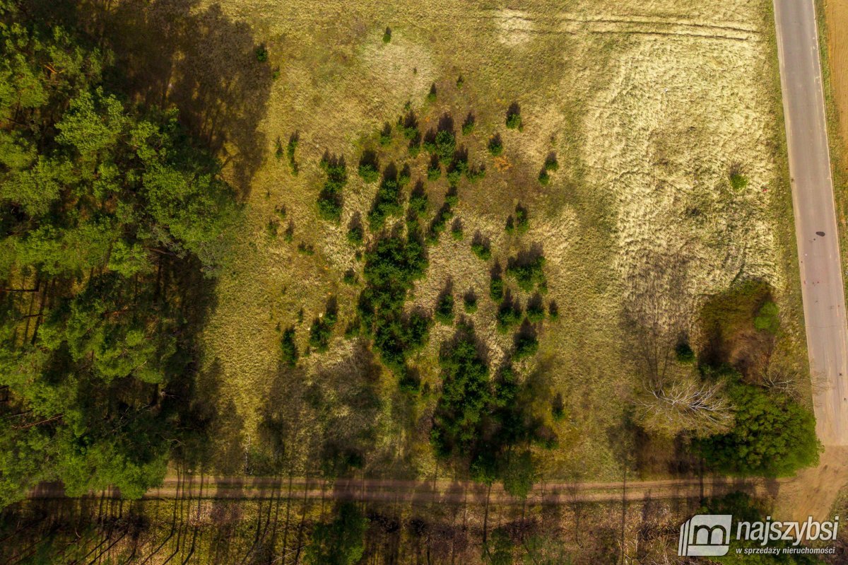 Karkoszów- Działka inwestycyjna pod halę przy DK22 (7)