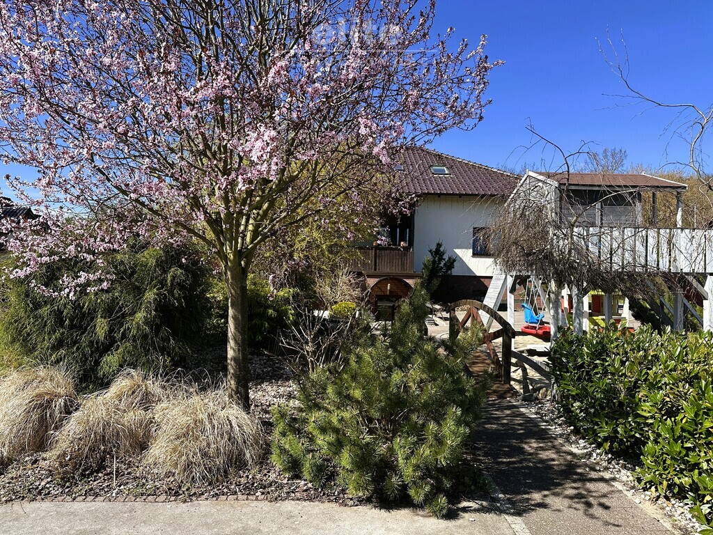 Stara Rudnica dom z antresolą piwnicą i garażem (19)