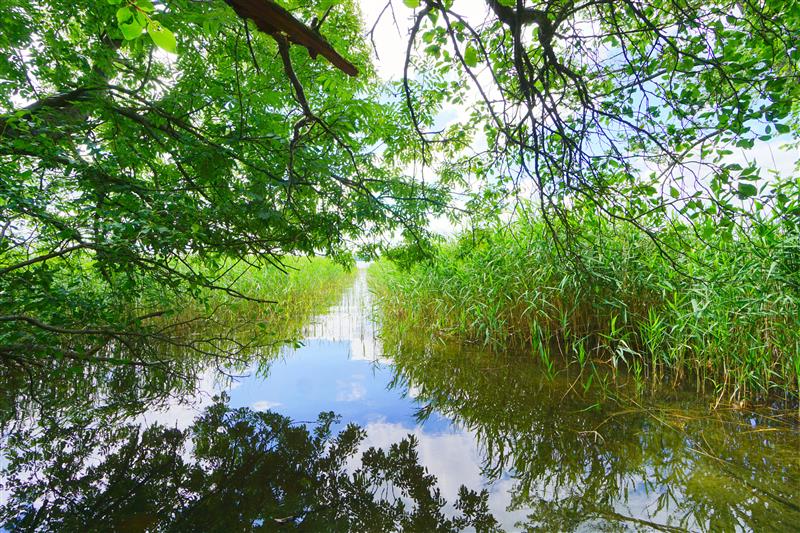 Działka - Czaplinek   (1)