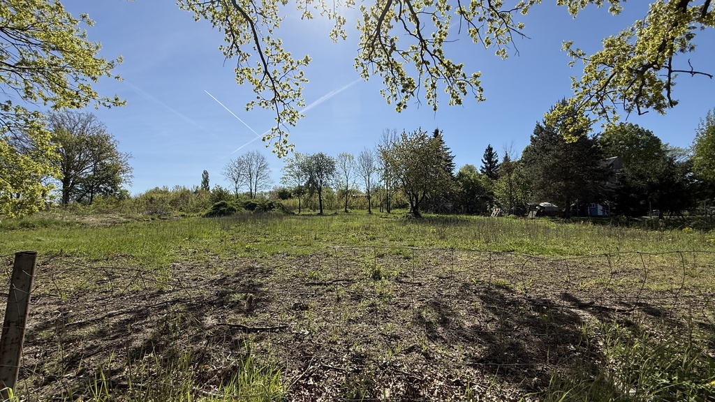 Wybuduj Swój dom marzeń z widokiem na zieleń (1)