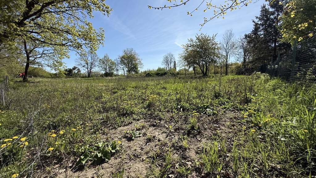 Wybuduj Swój dom marzeń z widokiem na zieleń (3)