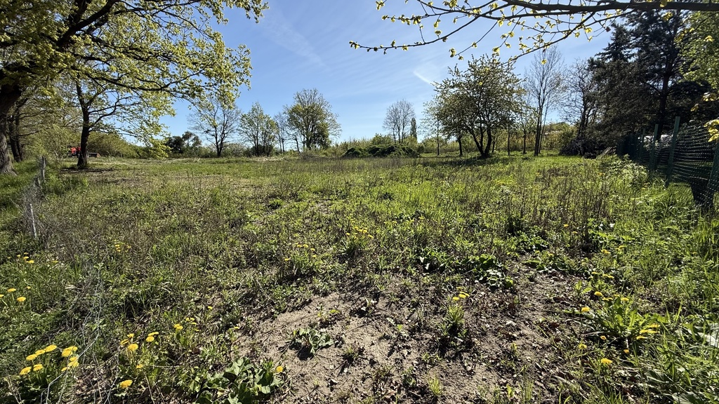 Wybuduj Swój dom marzeń z widokiem na zieleń (4)